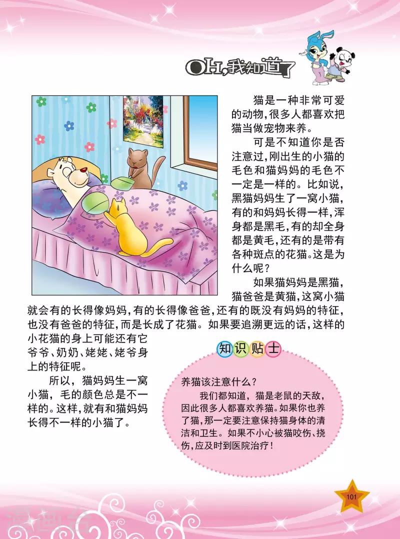 虹猫蓝兔十万个为什么之动物卷 上漫画,第24话2图