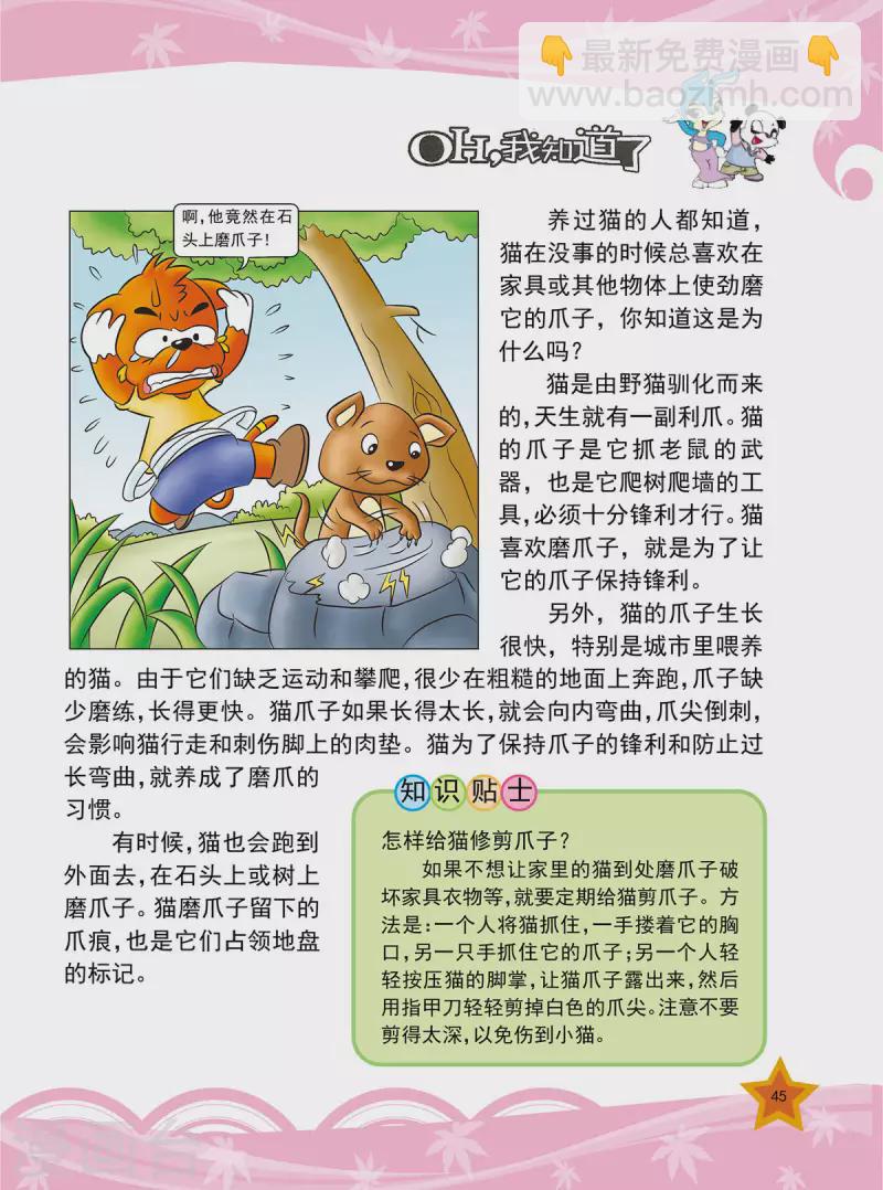 虹猫蓝兔十万个为什么漫画,第10话2图