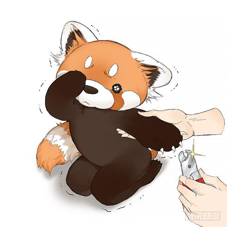 请叫我小熊猫漫画,画了一组小熊猫2图