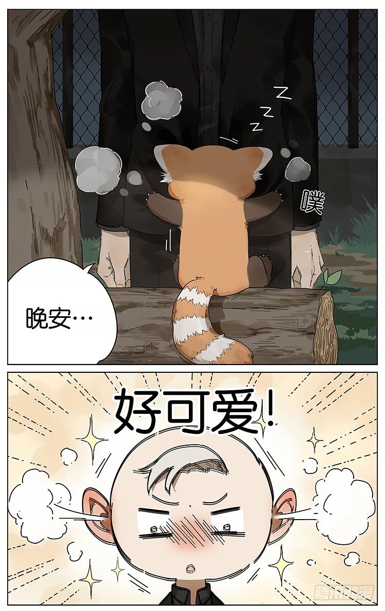 请叫我小熊猫漫画,逛动物园1图