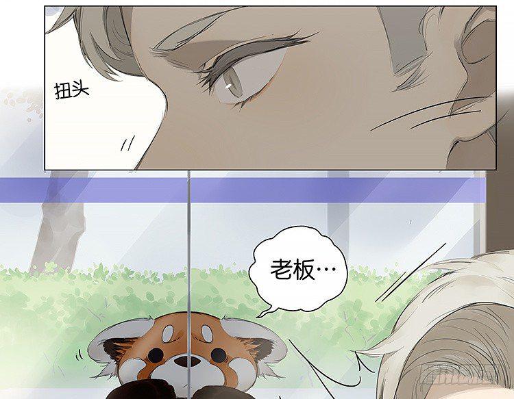 请叫我小熊猫漫画,去便利店2图