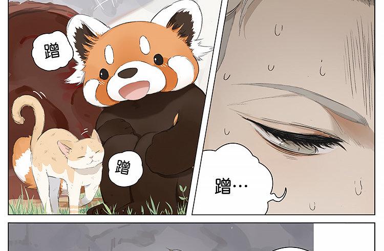 请叫我小熊猫漫画,流浪猫2图