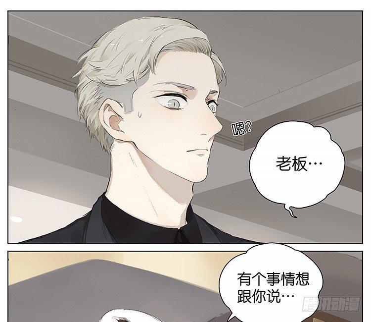 请叫我小熊猫漫画,流浪猫1图