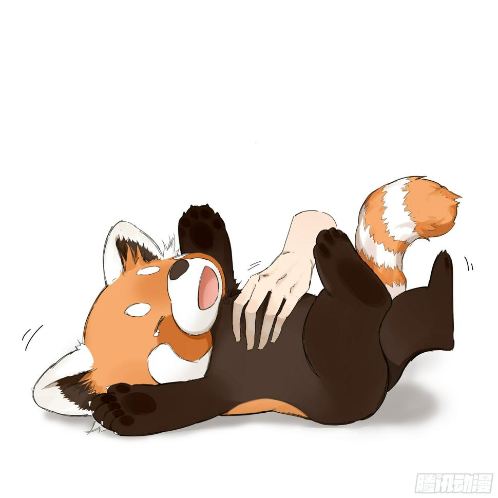 请叫我小熊猫漫画,画了一组小熊猫1图
