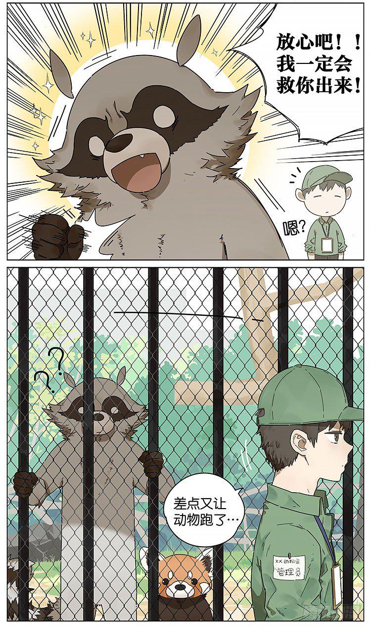 请叫我小熊猫漫画,逛动物园2图