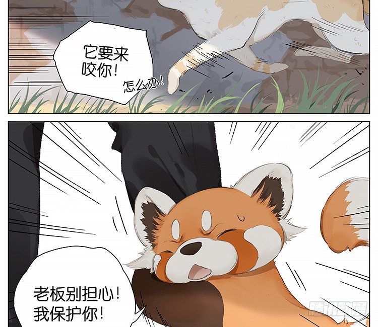 请叫我小熊猫漫画,流浪猫2图