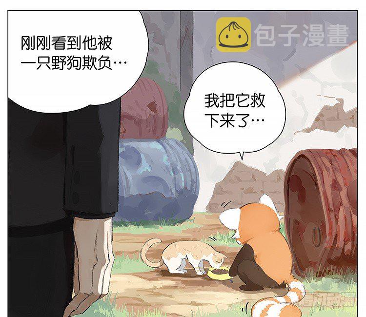 请叫我小熊猫漫画,流浪猫2图