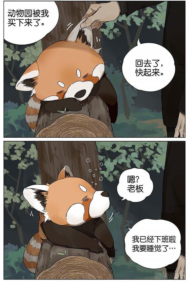 请叫我小熊猫漫画,逛动物园2图
