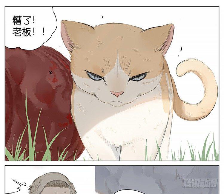 请叫我小熊猫漫画,流浪猫2图