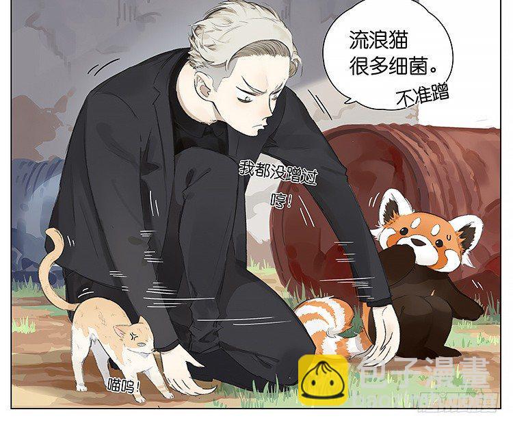 请叫我小熊猫漫画,流浪猫1图