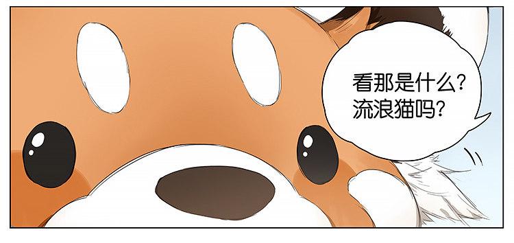 请叫我小熊猫漫画,去便利店2图