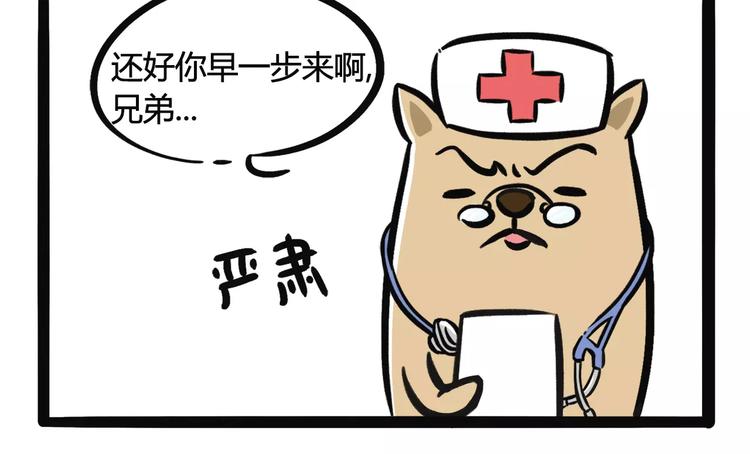 不懂感恩的人比狼更可怕漫画,第5话 看医生1图