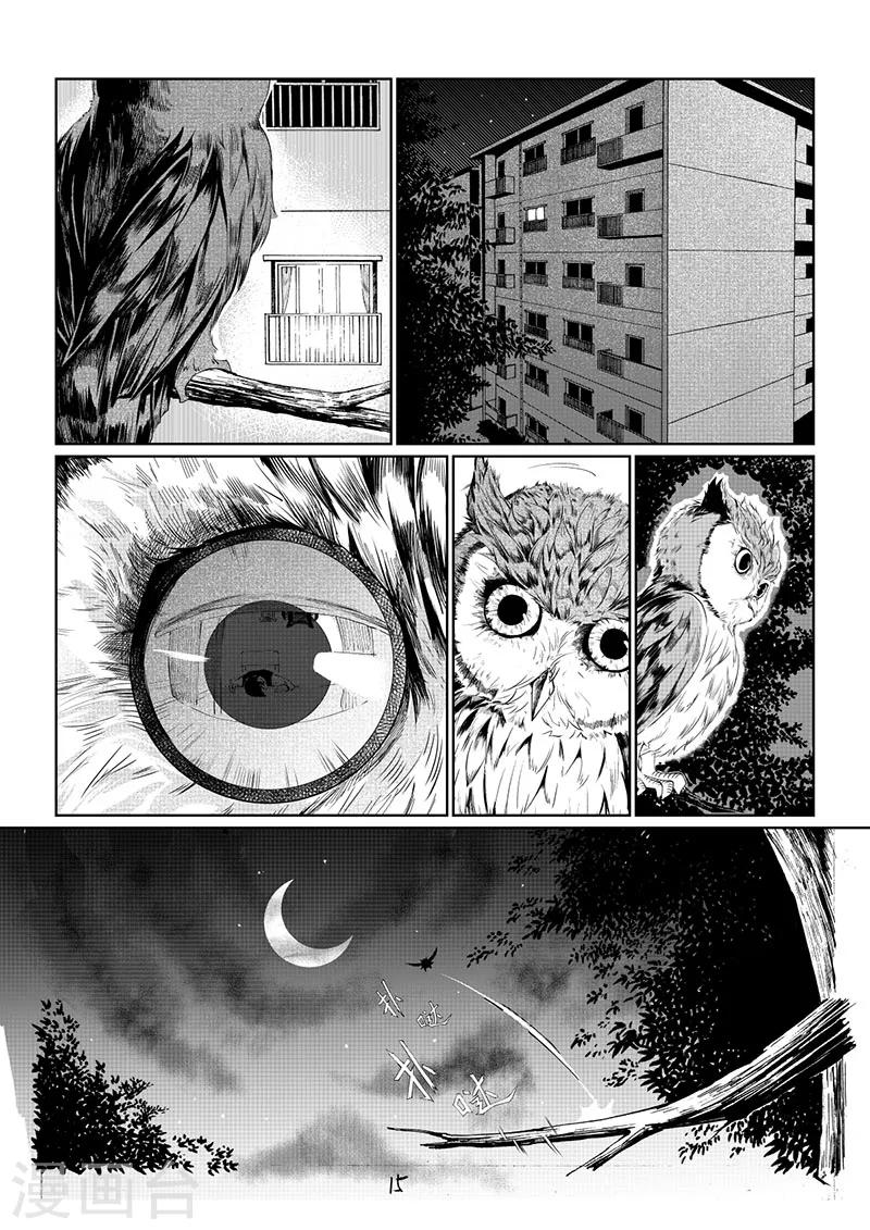 x基因和y基因哪个更优越漫画,第1话2图