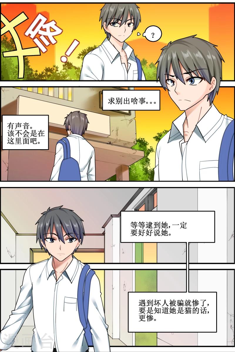 猫咪坠楼之后不见了怎么找漫画,第9话2图