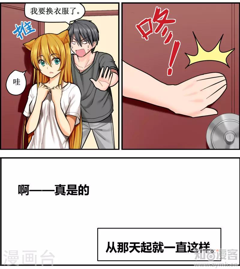 猫咪坠楼多久能站起来漫画,第4话2图