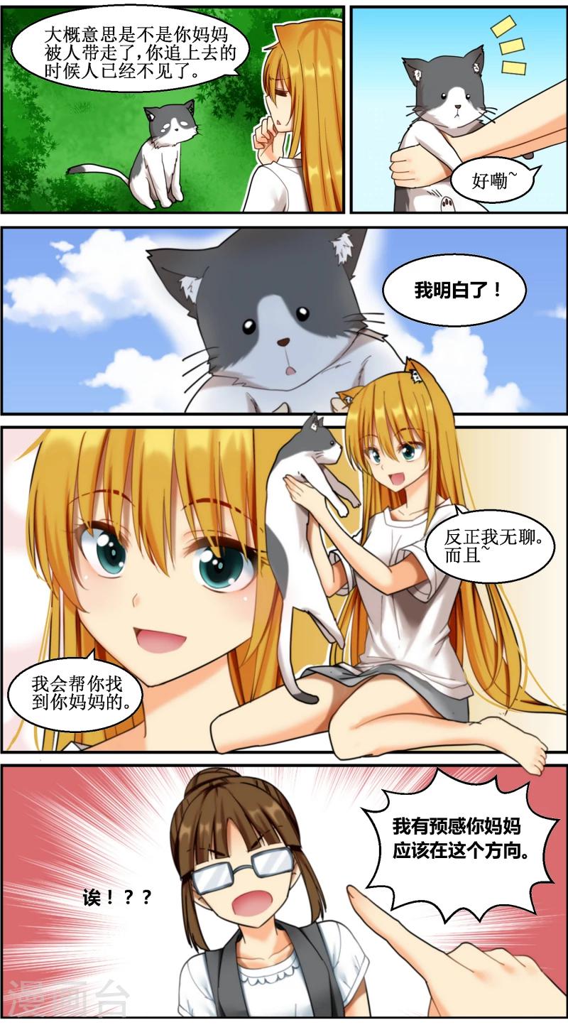 猫咪坠楼去医院要注意什么漫画,第7话1图