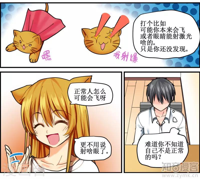 猫咪坠楼呼吸困难怎么治疗漫画,第4话1图