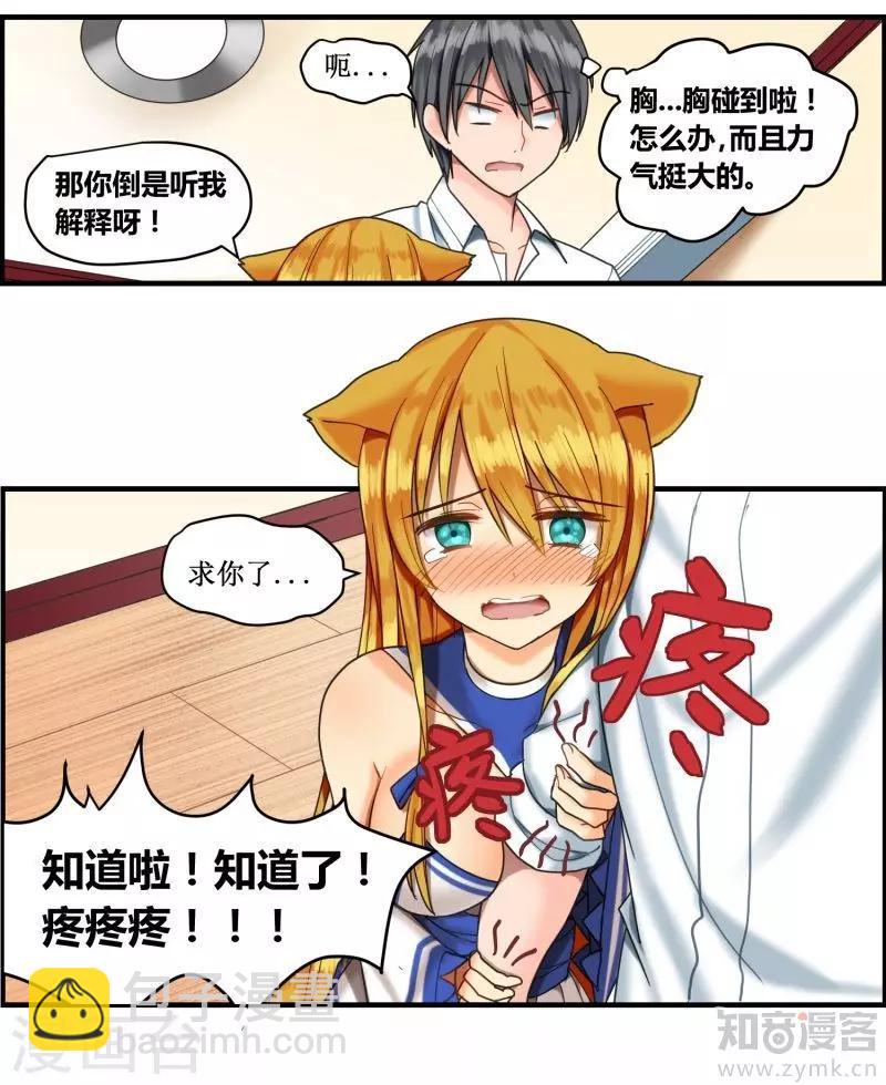 猫咪坠楼之后不见了怎么找漫画,第3话1图