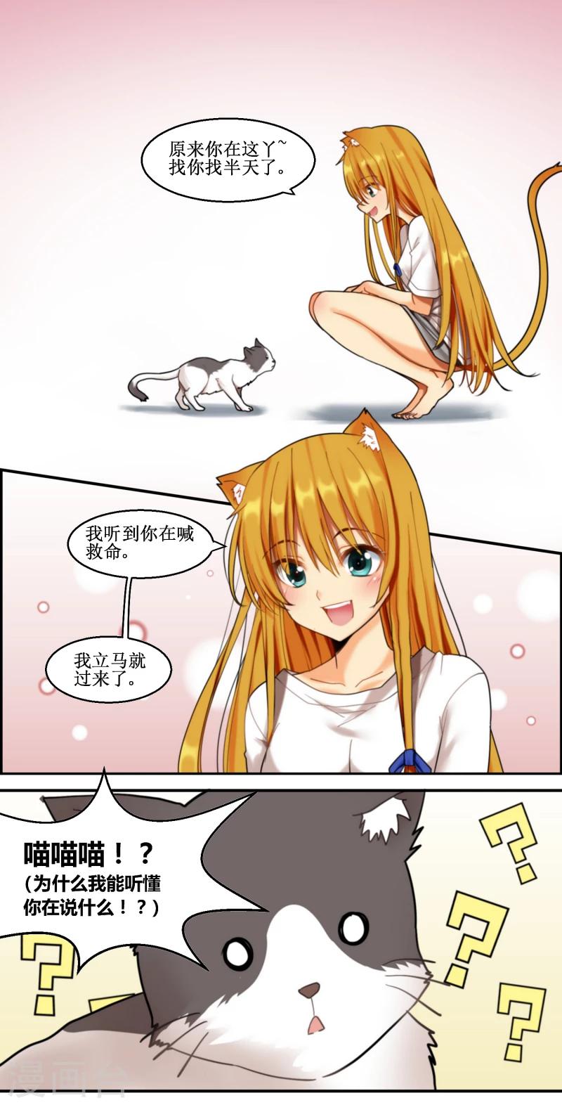 猫咪陷入爱河里的样子漫画,第7话2图