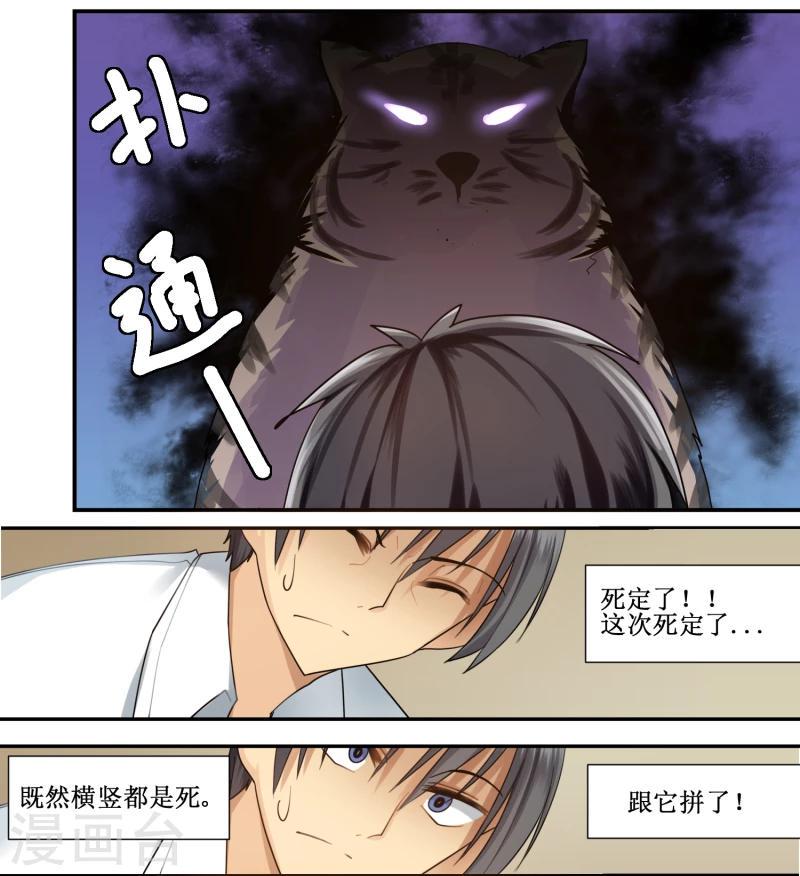 猫咪坠楼后发抖漫画,第15话2图