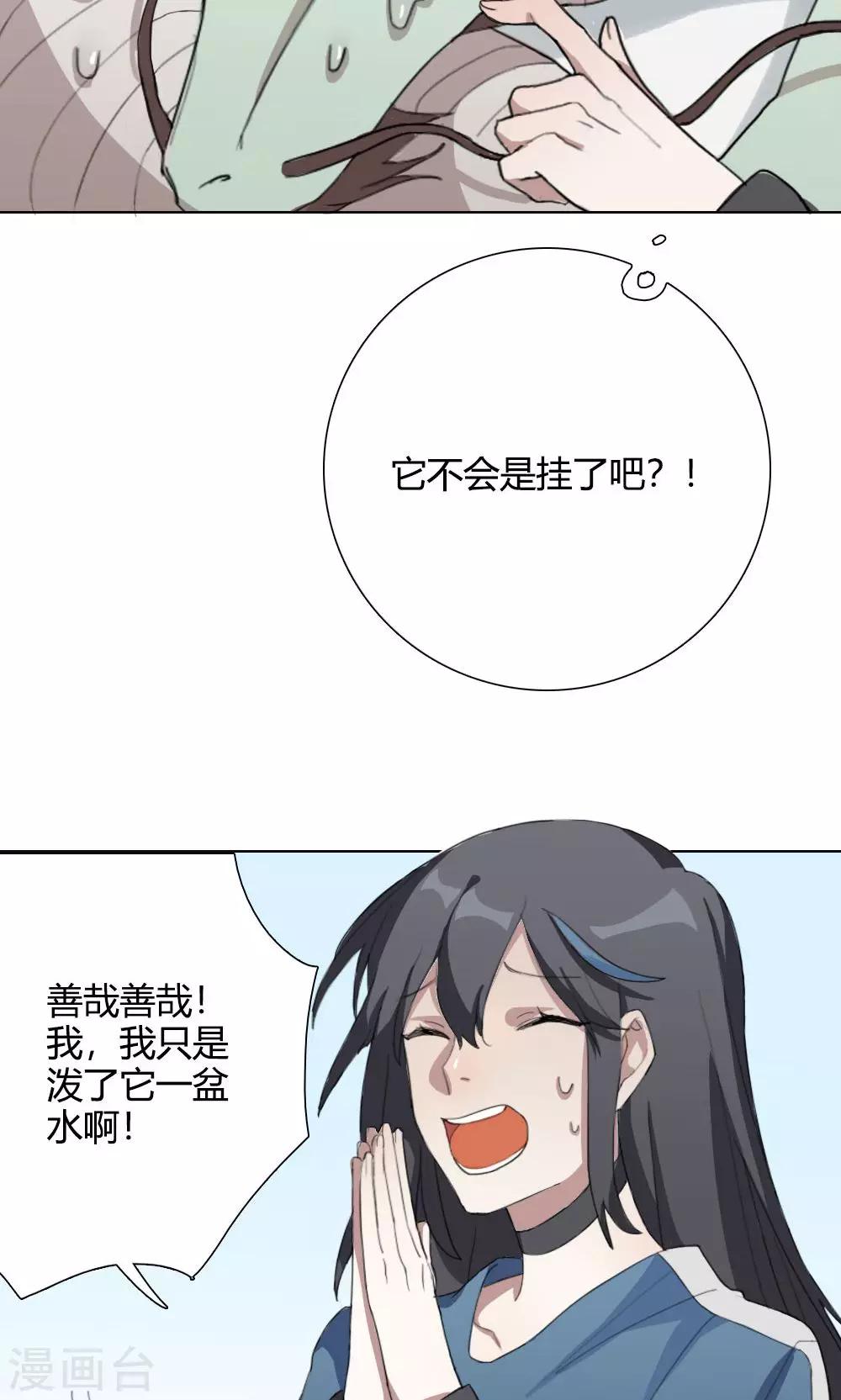 我的龙宝贝入口漫画,第3话 大梦想家32图