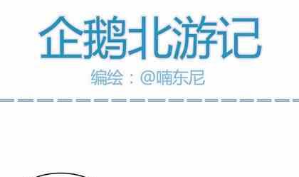 北游记之仙魂下凡漫画,101图