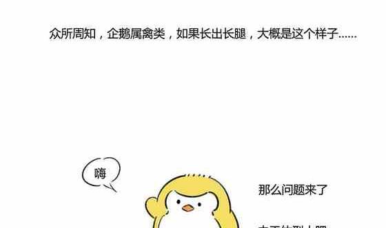 企鹅游泳图片漫画,292图