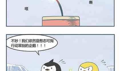 企鹅北极熊情头漫画,22图