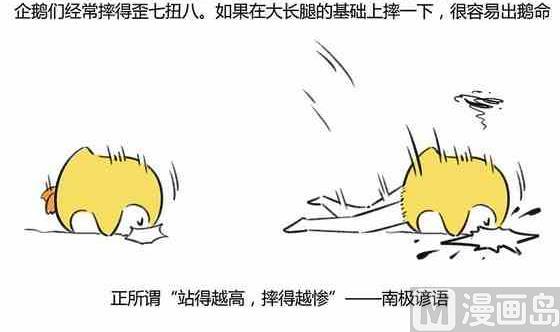 企鹅北极熊 情侣头像漫画,292图