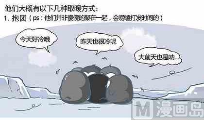 企鹅病漫画,331图