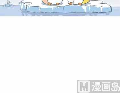 企鹅北极熊的简笔画怎么画漫画,252图