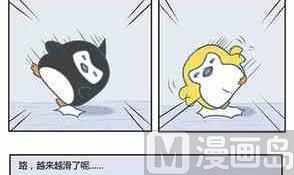 企鹅游泳图片漫画,392图