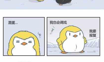 企鹅在南极还是北极漫画,51图