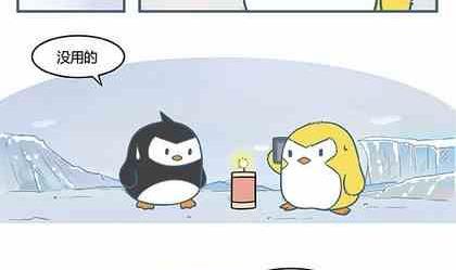 企鹅北极熊情头漫画,22图