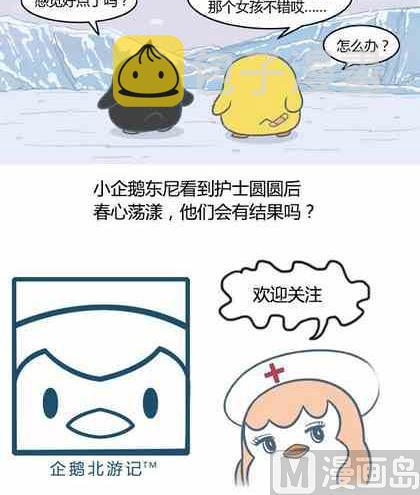 企鹅北极熊的特征漫画,81图