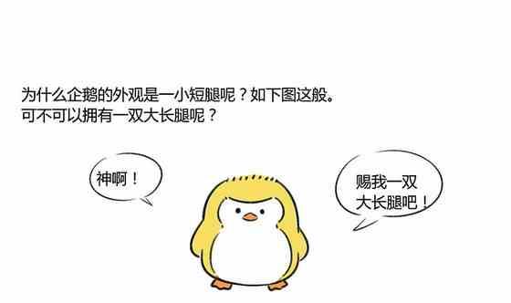 企鹅游泳图片漫画,291图