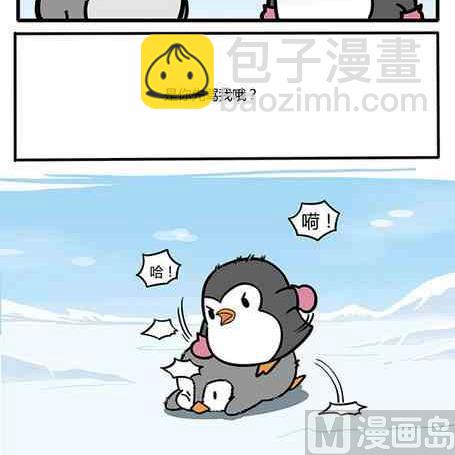 企鹅北极熊搞笑视频漫画,442图