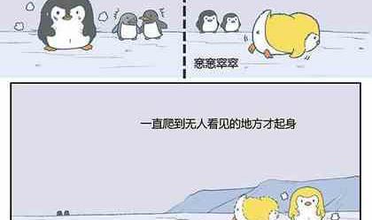 企鹅北极熊简笔画简单又好看漫画,181图