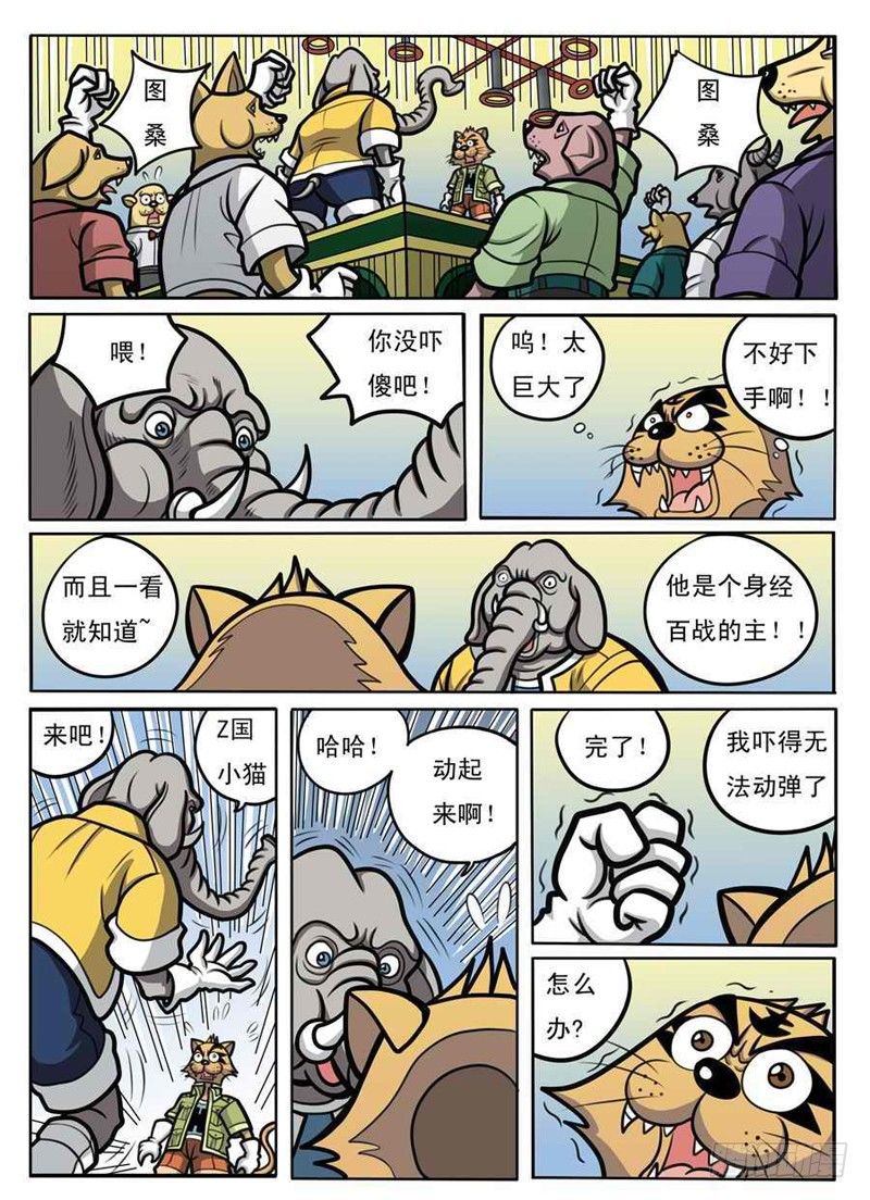 界石漫画,赌拳2图