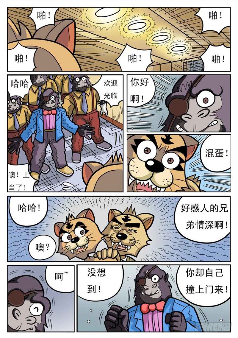 结婚周年分别是什么婚漫画,找到大哥2图