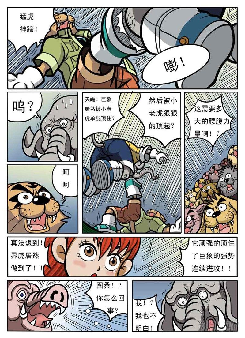 结婚登记数止跌回升漫画,赌拳2图