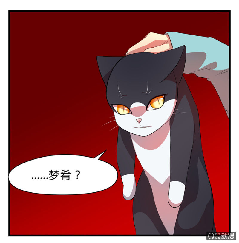梦境少女漫画,梦&amp;占卜2图