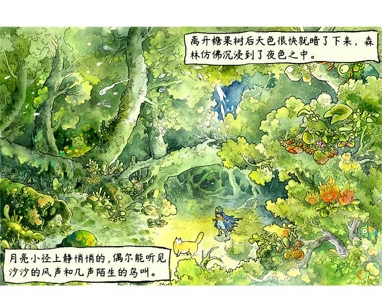 芦花和胖头鸟森林动画片漫画,【第三话】流星猫1图