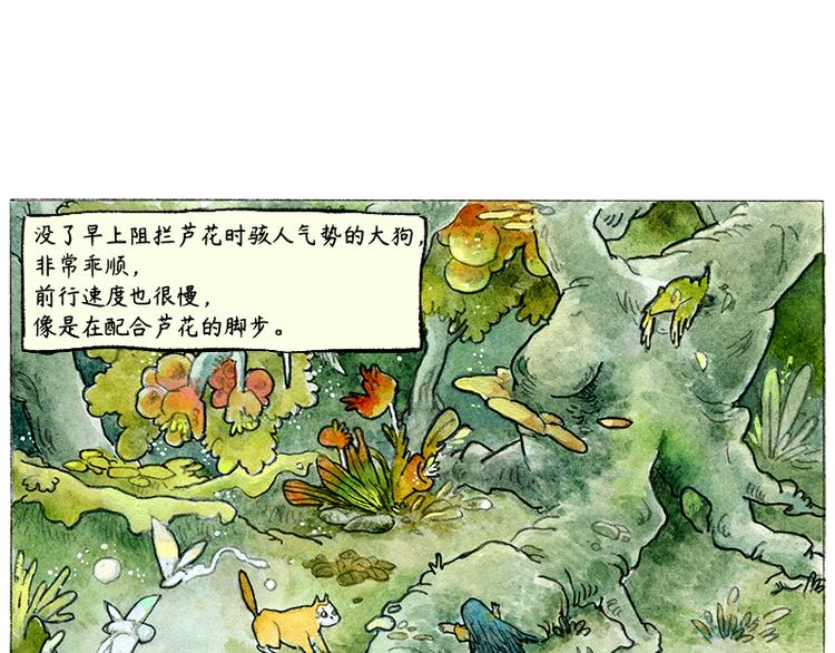 芦花和胖头鸟森林故事连载漫画,【第二话】真话糖果与谎话糖果2图