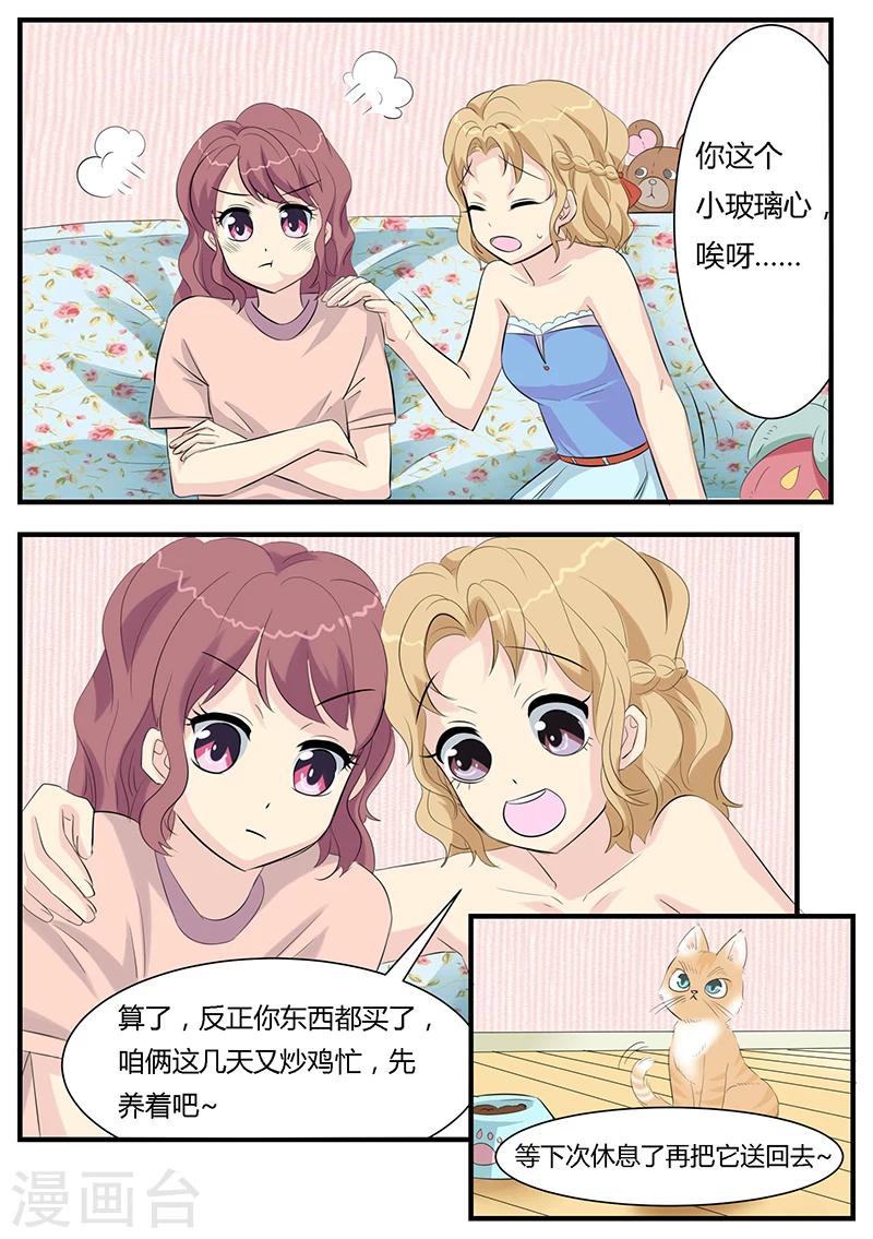 猫奴富少好缠人漫画,第2话1图