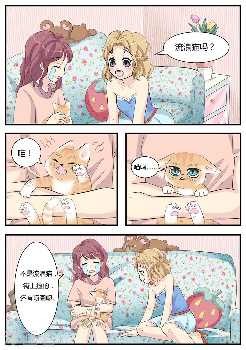 猫奴富少好缠人漫画,第2话2图