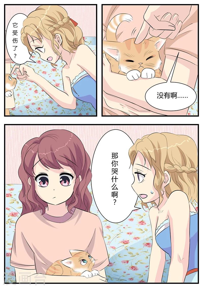 猫奴富少好缠人漫画,第2话1图