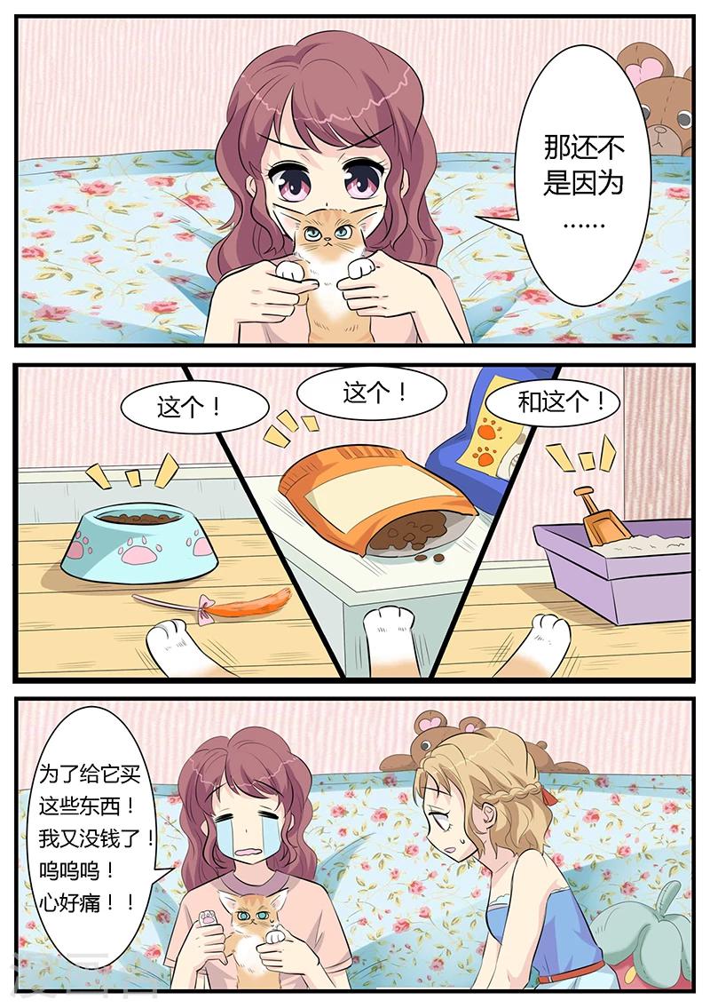 猫奴富少好缠人漫画,第2话2图