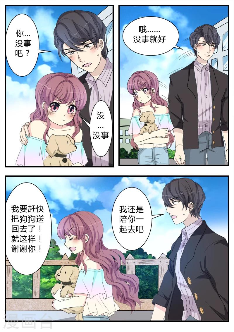 猫奴富少好缠人漫画,第12话1图