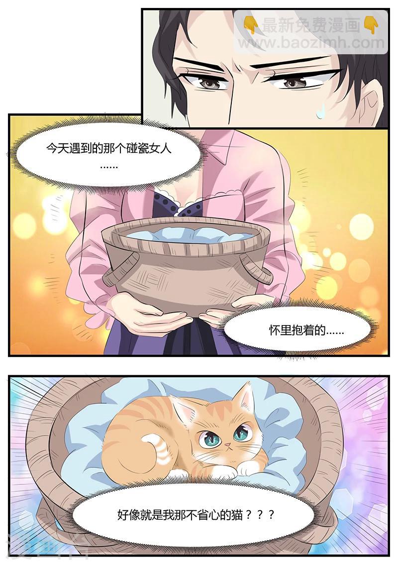 猫奴富少好缠人漫画,第2话1图
